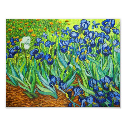 Impression Photo Van Gogh Irises (Devant)