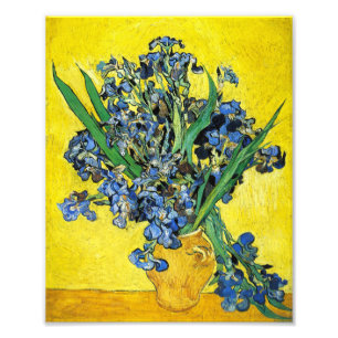 Impression Photo Van Gogh Irises Imprimer