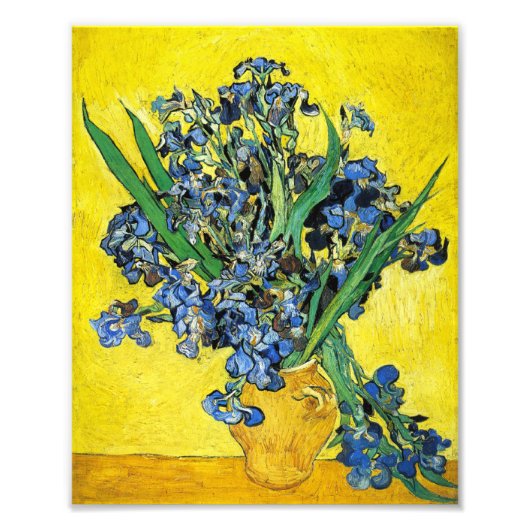 Impression Photo Van Gogh Irises Imprimer (Devant)