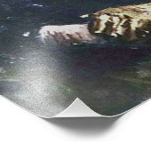 Impression Photo Van Gogh Portrait d'une femme assise (Coin)