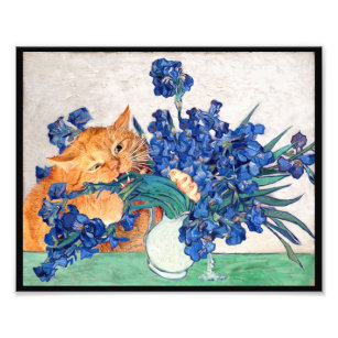 Impression Photo Van Gogh Spot Art Imprimer Chat Manger Irises Post