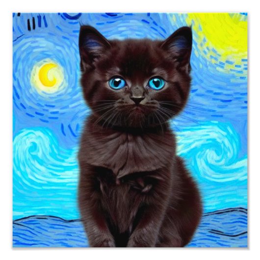 Impression Photo Van Gogh Starry Night Black Cat (Devant)