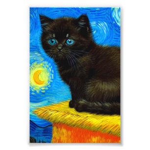 Impression Photo Van Gogh Style Starry Night Cat