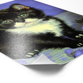 Impression Photo Van Gogh Tuxedo Kitten (Coin)