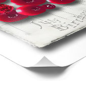 Impression Photo variations de l'objet_4 sur le rubis (Coin)