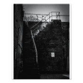 Impression Photo Vélo Savannah (Devant)