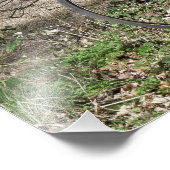 IMPRESSION PHOTO VÉLOS (Coin)