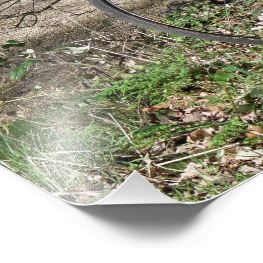 IMPRESSION PHOTO VÉLOS (Coin)