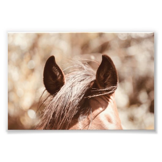 Impression Photo Velours Cheval Brown Oreilles Et Bangs (Devant)