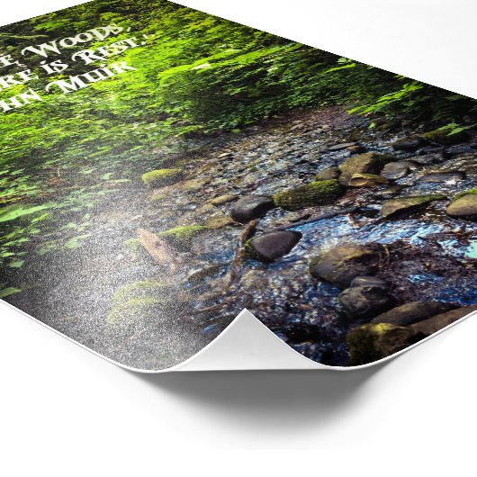 Impression Photo Venez à la forêt (Coin)