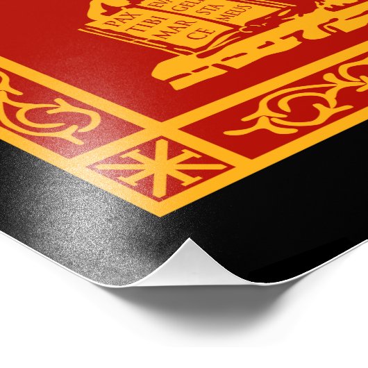 Impression Photo Ventian Flag (Coin)