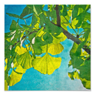 Impression Photo Ventilateurs de rêve