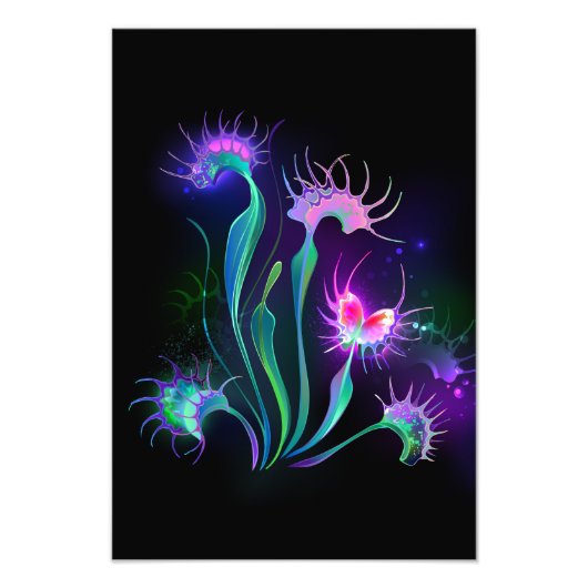 Impression Photo Vénus Flytrap lumineuse (Devant)