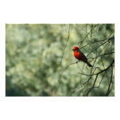 Impression Photo Vermilion (Devant)