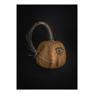 Impression Photo Version couleur Gourds No 13