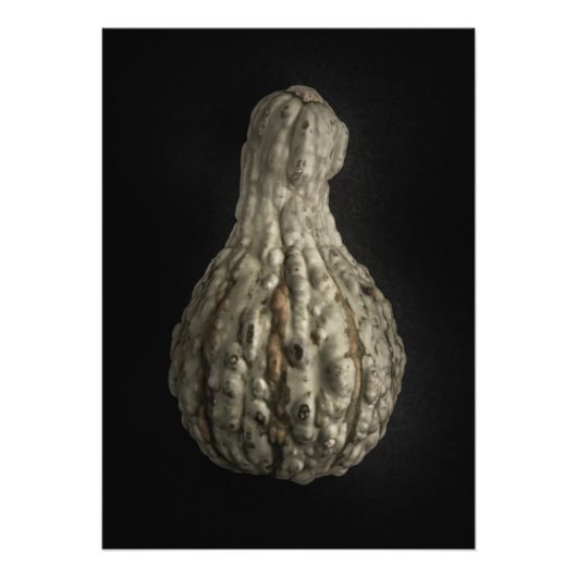 Impression Photo Version couleur Gourds No 8 (Devant)