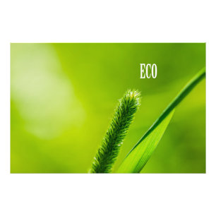 Impression Photo Vert Gris Et Soleil - Eco