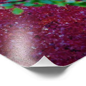 Impression Photo "Vibrance naturelle" (Coin)