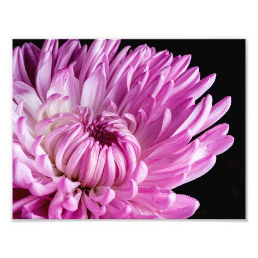 Impression Photo Vibrant en Dahlia Rose (Devant)