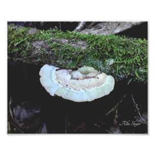 Impression Photo Vie de plateau