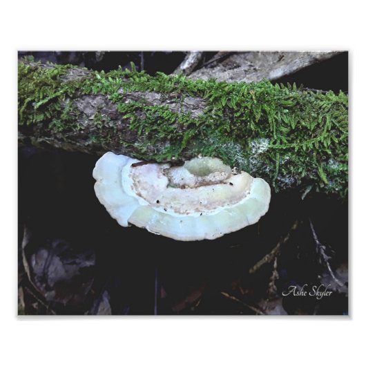 Impression Photo Vie de plateau (Devant)