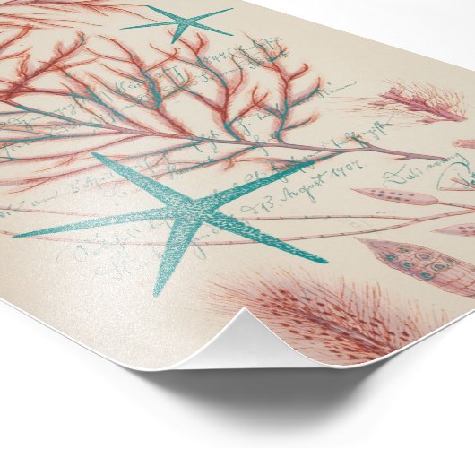 Impression Photo Vie maritime (Coin)