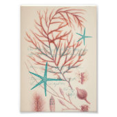 Impression Photo Vie maritime (Devant)