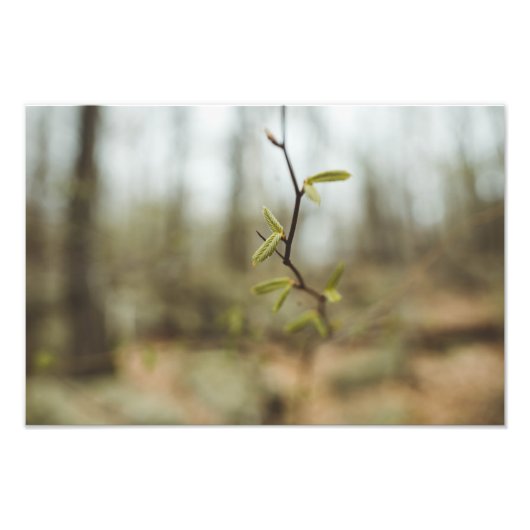 Impression Photo Vie verte (Devant)