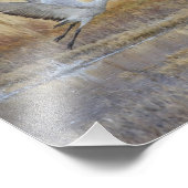 Impression Photo Viens voler avec moi (Coin)