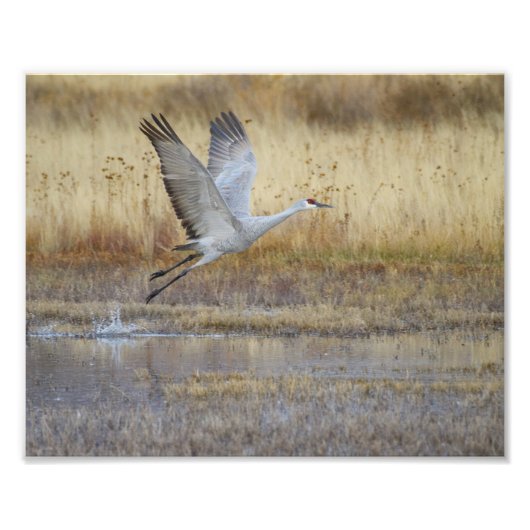 Impression Photo Viens voler avec moi (Devant)