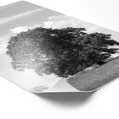 Impression Photo Vieux arbre (Coin)