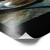 Impression Photo Vieux argent et chêne (2) (Coin)