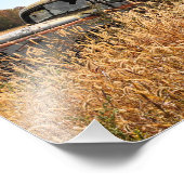 Impression Photo Vieux camion dans le champ agricole d'automne (Coin)