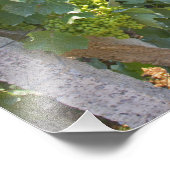 Impression Photo Vignes entraînées à haute altitude sur fils souten (Coin)