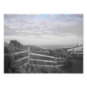 Impression Photo Vignoble de Martha en noir et blanc (Devant)