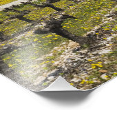 Impression Photo Vignoble dormant, fleurs de fruits, maison en pier (Coin)