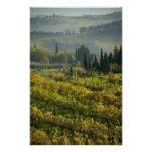 Impression Photo Vignoble, Toscane, Italie (Devant)