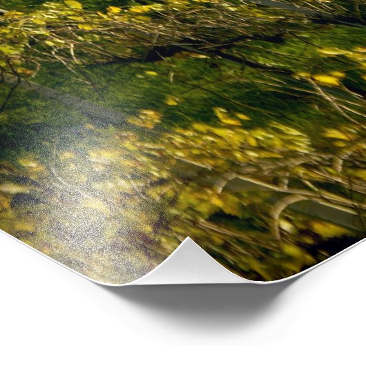 Impression Photo Vignoble, Toscane, Italie (Coin)