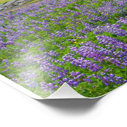 IMPRESSION PHOTO VIK, ISLANDE (Coin)