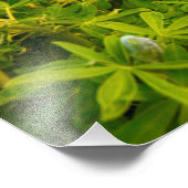 Impression Photo Vikurkirkja, Islande (Coin)