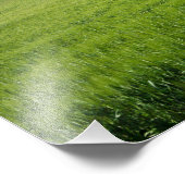 Impression Photo Villa ferme avec cyprès en Toscane (Coin)