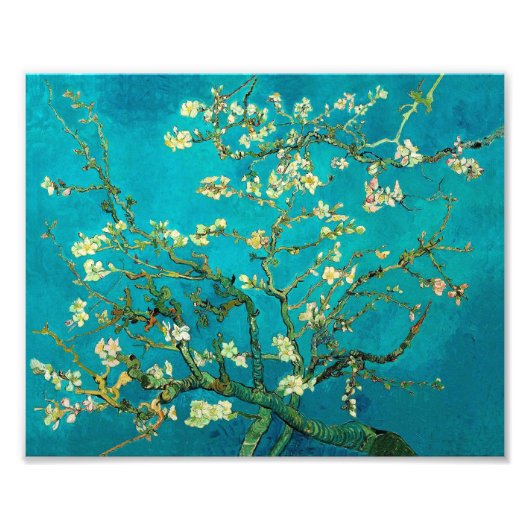 Impression Photo Vincent Van Gogh Blossoming Almond Tree Floral Art (Devant)