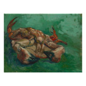 Impression Photo Vincent Van Gogh, Crabe sur son dos (Devant)