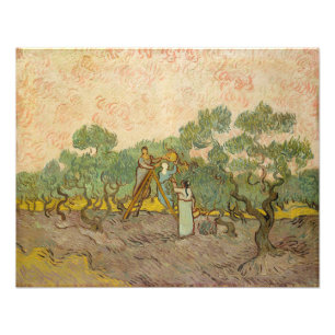 Impression Photo Vincent van Gogh - Femmes cueillant des olives