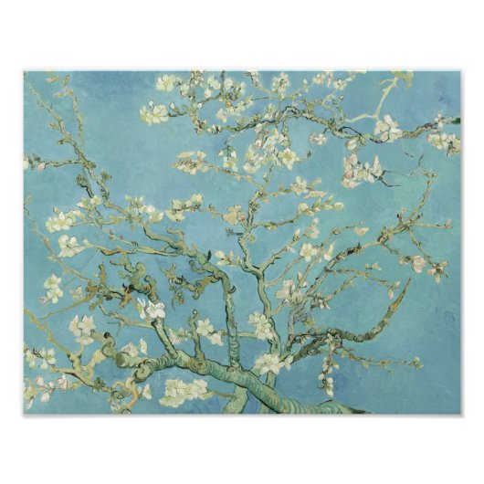 Impression Photo Vincent van Gogh - Fleur d'amandes (Devant)