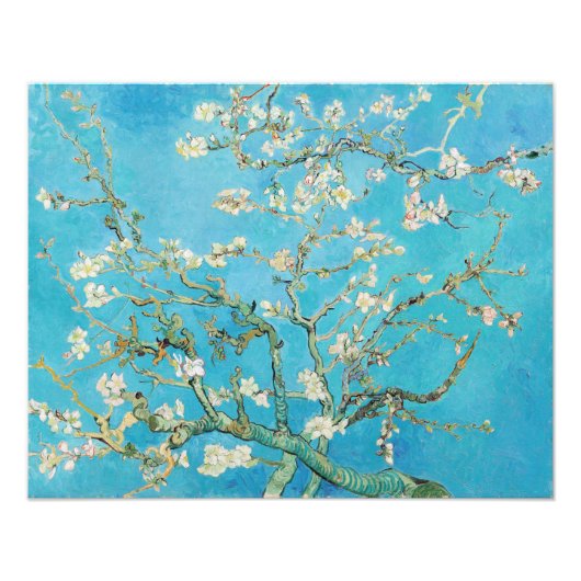 Impression Photo Vincent van Gogh - Fleur d'amandes (Devant)