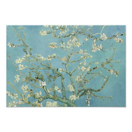 Impression Photo Vincent van Gogh - Floraison des amandiers (Devant)