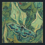 Impression Photo Vincent Van Gogh - Grand Moth Peacock<br><div class="desc">Vincent Van Gogh - Grand Moth Peacock</div>