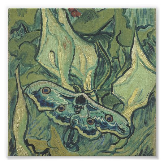 Impression Photo Vincent Van Gogh - Grand Moth Peacock (Devant)
