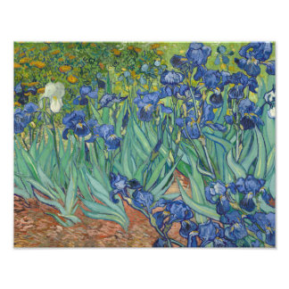 Impression Photo Vincent van Gogh - Irises